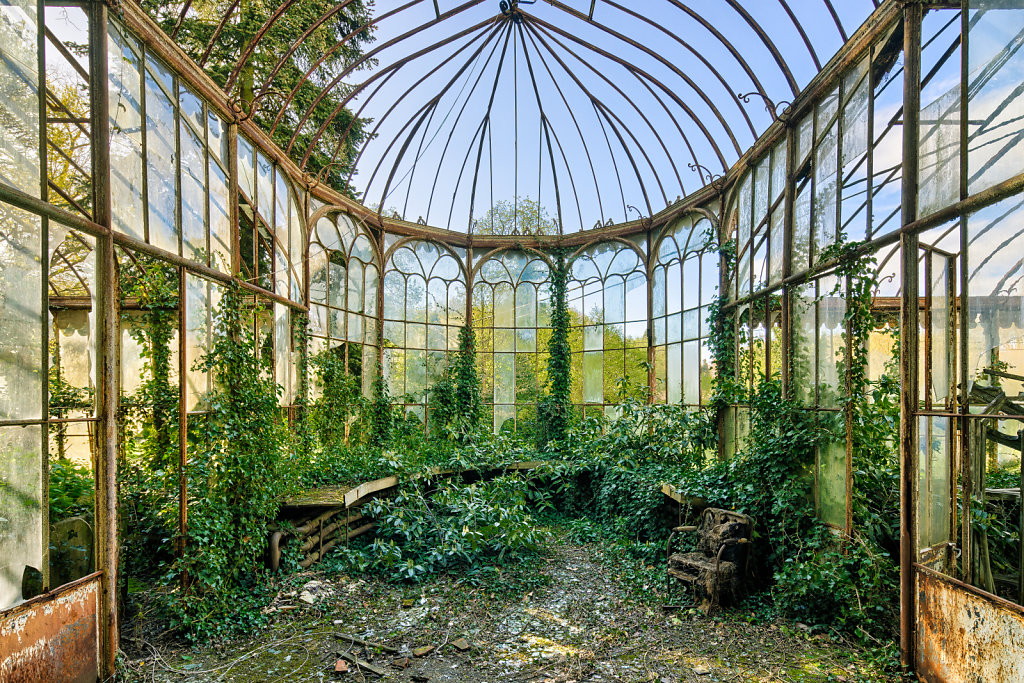 The Doctor's Greenhouse